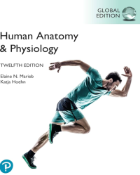 Human Anatomy & Physiologi