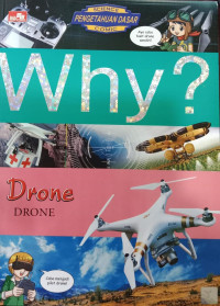 Why? Drone (Dron)