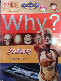 Why? Anatomy