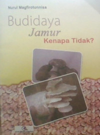 Budidaya Jamur Kenapa Tidak ?