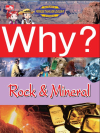 Why?: Rock & Mineral